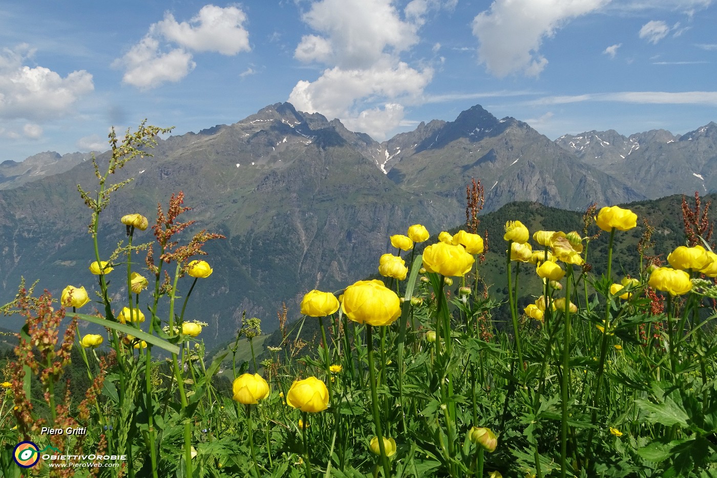 26 Botton d'oro per i Giganti.JPG